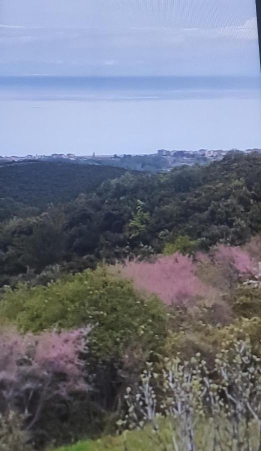Πανοραμα Villa Aigani Dış mekan fotoğraf